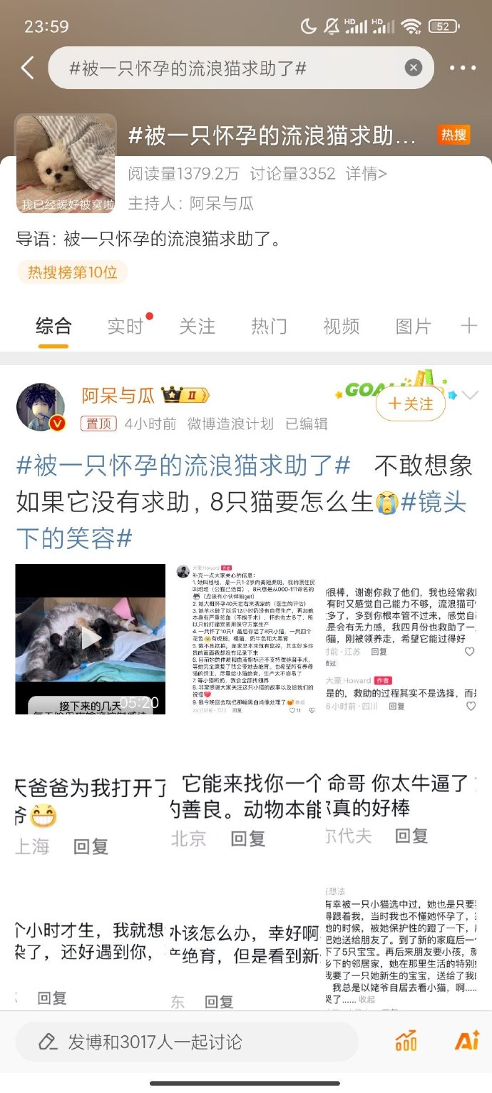 胖猫事件后续：女主曝分顶盛体育手内幕并退还136万声称清白双方已和解